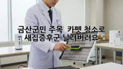 금산군민 주목! ✨ 카펫 청소로 새집증후군 날려버려요! 💨