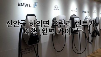 신안군 하의면 오림리 렌트카 여행 🚗🌴 완벽 가이드!