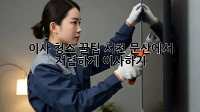 이사 청소 꿀팁: 서천 문산에서 저렴하게 이사하기!
